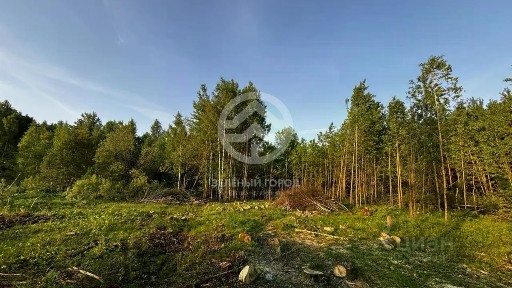 Продается участок, 11 сот.