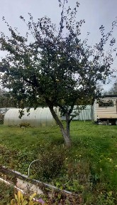 Продается 2-этажный дом, 60 м²