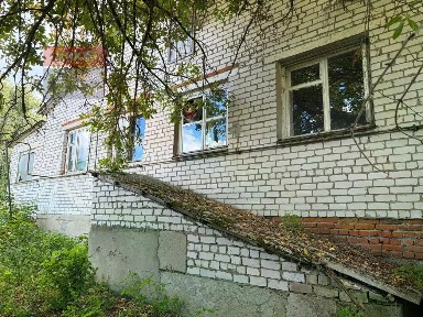 Рязанская область, Рыбновский муниципальный округ, Кузьминское село