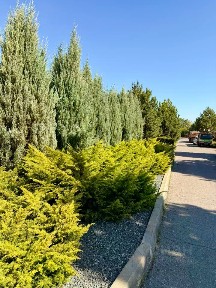 Продается 2-этажный коттедж, 323 м²