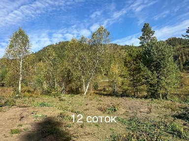 Продается участок, 12 сот.