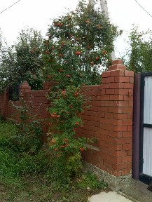 Продается 1-этажный дом, 102,5 м²