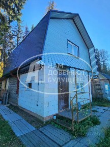 Пермский край, Чернушка, Лесное СНТ, 19