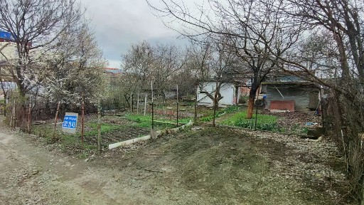 Ростовская область, Ростов-на-Дону, р-н Советский, Сирень СНТ, 149