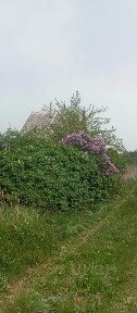 Продается участок, 5 сот.
