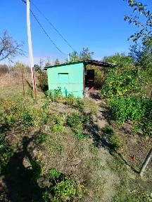 Ростовская область, Азовский район, Новоалександровка хутор