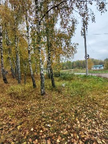 Продается участок, 60 сот.