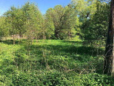 Продается 2-этажный дом, 38,7 м²