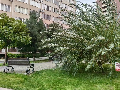 Продается апартаменты-студия, 24,3 м²