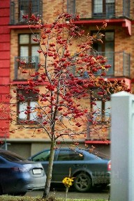 Сдается 2-комн. квартира, 49 м²