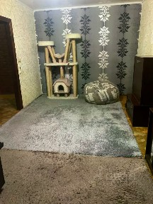 Сдается 2-комн. квартира, 58 м²