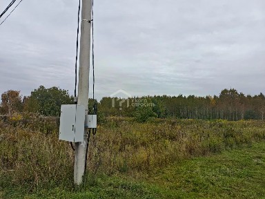 Ленинградская область, Ломоносовский район, Пениковское с/пос, Лангерево деревня