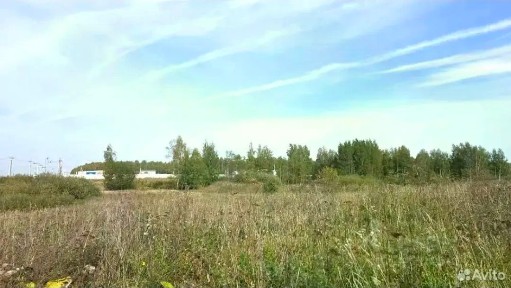 Московская область, Раменский муниципальный округ, Какузево деревня, ул. Счастья, 9