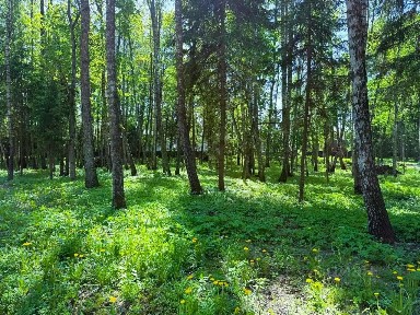 Продается участок, 8,9 сот.