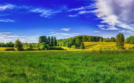Продается участок, 37 сот.