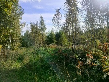 Продается участок, 17 сот.