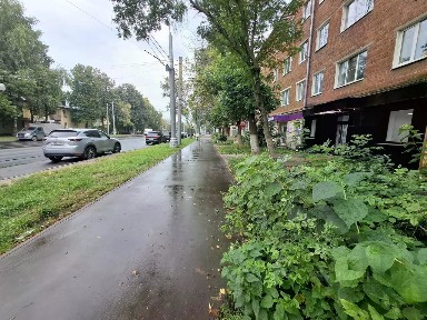 Сдается помещение свободного назначения, 43,3 м²