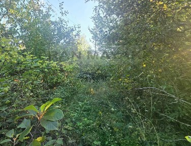 Продается 1-этажный дом, 25 м²