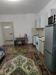 Новосибирская область, Новосибирск, р-н Калининский, мкр. Родники, Красный просп., 310