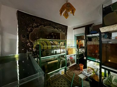 Краснодарский край, Славянский район, Анастасиевское с/пос, Анастасиевская станица, ул. Луначарского