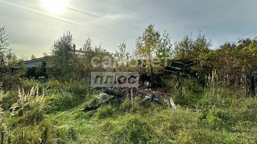 Нижегородская область, Бор муниципальный округ, Софроново деревня