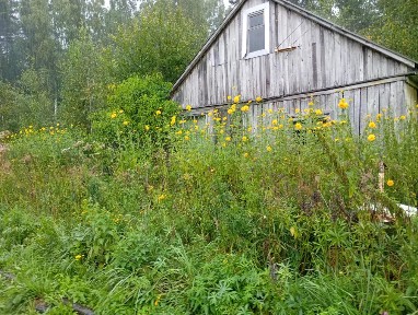 Продается 1-этажный дом, 20 м²