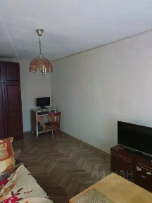 Продается 1-комн. квартира, 30,2 м²