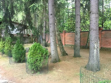 Сдается 3-этажный коттедж, 500 м²