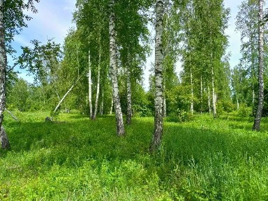 Продается участок, 10 сот.