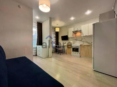 Сдается студия, 26 м²