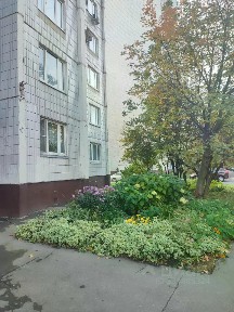 Сдается 1-комн. квартира, 40 м²