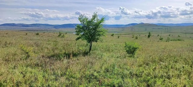 Хакасия респ., Ширинский район, Шира село, ул. Мирная