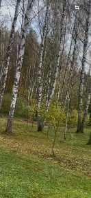 Продается участок, 13 сот.