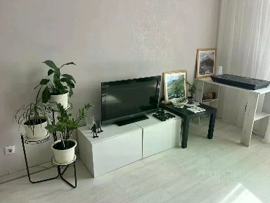 Сдается студия, 24 м²