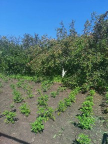 Продается участок, 10 сот.