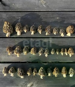 Продается участок, 7,8 сот.