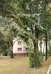 Москва, НАО (Новомосковский), Остафьево поселок, 20