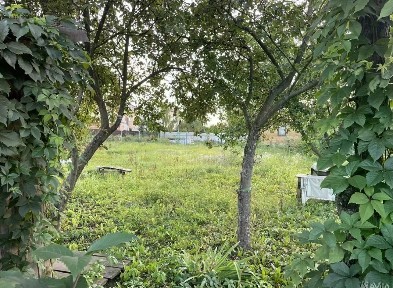 Московская область, Ленинский городской округ, Дроздово деревня, Дроздово-2 ТЛПХ, ул. Ягодная