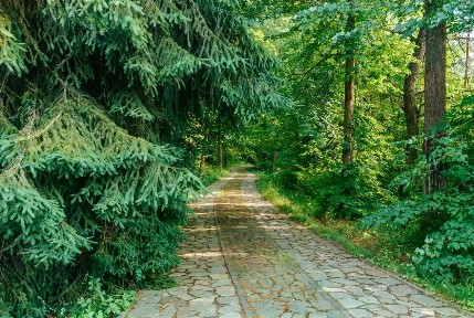 Продается участок, 50 сот.