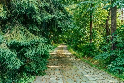 Продается участок, 165 сот.