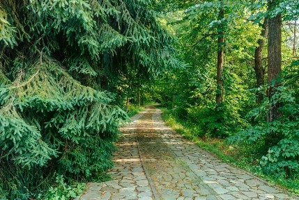 Продается участок, 524 сот.