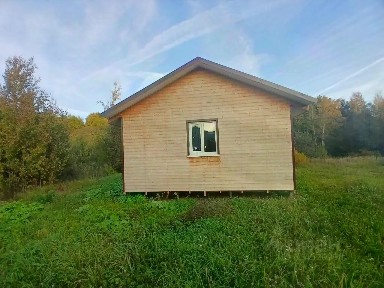 Московская область, Пушкинский городской округ, Невзорово деревня