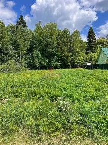 Московская область, Сергиево-Посадский городской округ, Загорье СНТ, 261