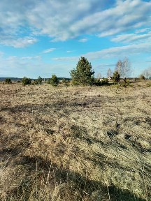 Продается участок, 21 сот.