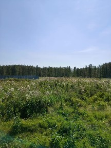 Продается участок, 10,2 сот.