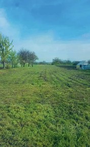 Продается участок, 50 сот.