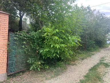 Продается участок, 6,3 сот.