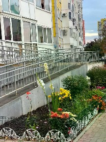 Сдается студия, 23 м²