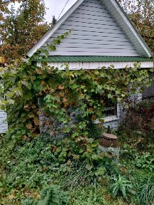 Сдается 2-этажный дом, 100 м²