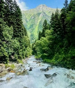 Продается участок, 61 сот.